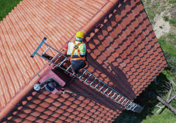 Best Asphalt Shingle Roofing  in North Chicago, IL